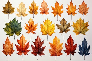 autumn leaves collection