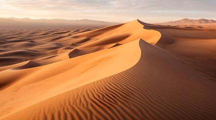 Fototapeta na wymiar sand dunes in the desert at sunset, panoramic view