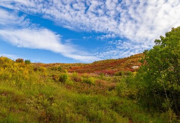 Fall Foliage Under A Cloudy Blue Sky