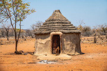A view of a goat approaching a hut in a Himba tribe village in Namibia in the dry season