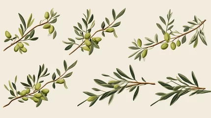 Stoff pro Meter Set of olive branches in a vector © Nazia