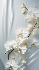 Placed gold-edged white orchids diagonally across a soft satin fabric. Vertical orientation with...