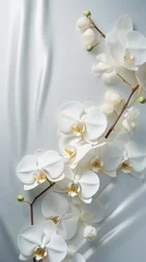 Fototapeten Placed gold-edged white orchids diagonally across a soft satin fabric. Vertical orientation with copy space.  © Dannchez