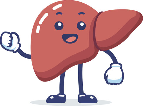 Happy healthy human liver cartoon mascot character vector illustration, Healthy human liver cartoon stock vector image