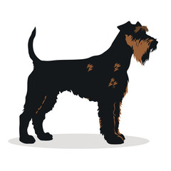 Airedale Terrier silhouettes and icons. black flat color simple elegant Airedale Terrier animal vector and illustration.