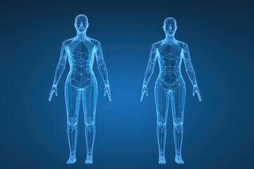 Two Abstract bodies of a man and a woman, polygonal human frame. Health of the human body, modern medical science of the future and global international medicine.