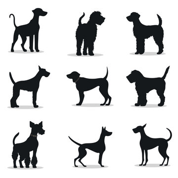 Airedale Terrier silhouettes and icons. black flat color simple elegant Airedale Terrier animal vector and illustration.