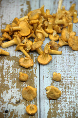 Chanterelle mushrooms on a wooden background