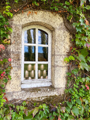 Fototapeta na wymiar old window with ivy