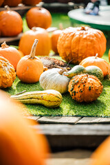 Decorative orange pumpkins on display at the farmers market. Orange ornamental pumpkins in sunlight. Harvesting and Halloween concept
