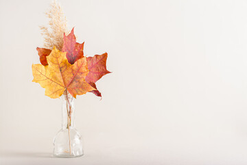 Beautiful maple leaves and spike in a glass bottle on a beige background copy space