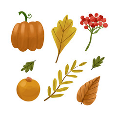 Vector collection of autumn nature elements  isolated on white background. colorful fall set with beautiful bright leaves