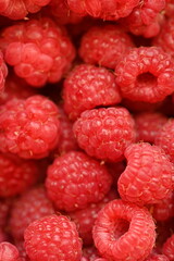 red raspberries close-up, macro juicy ripe raspberries 