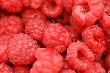 red raspberries close-up, macro juicy ripe raspberries