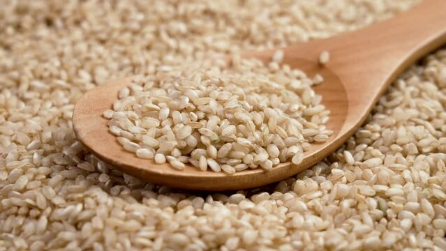 Brown coarse uncooked integral rice in wooden spoon close up. Rotation. Dietary nutritional food