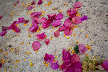 Flores, boda, fiesta, novios, celebración