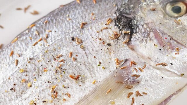 Raw dorado fish sprinkled with black pepper and cumin, close-up. Boom shot