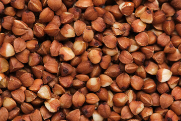 Buckwheat groats closeup on macro photos.