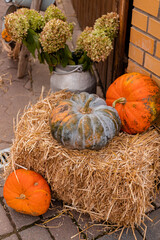 Pumpkins on straw. Autumn harvest. Autumn market. Happy Halloween