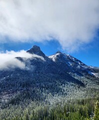 Cloudy mountains and frozen pines, Sawtooth National Forest, Idaho