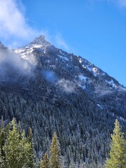 Cloudy mountains and frozen pines, Sawtooth National Forest, Idaho