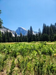 View of Half Dome in Yosemite Valley, Yosemite National Park, California