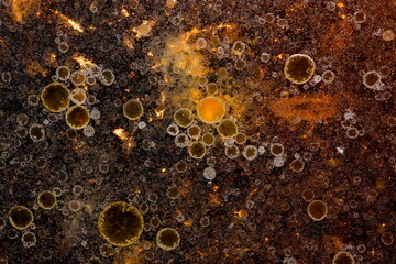 Colorful background full of bubbles various sizes.