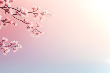Pink cherry blossom background, A delicate cherry blossom branch