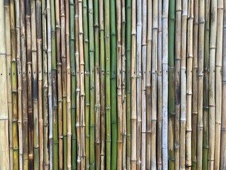 Bamboo trunk wall as background for abstract or design