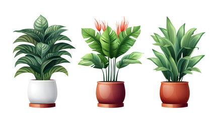 illustration potted plants for the interior. Isolated on transparent background.