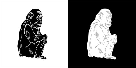 Illustration vector graphics of chimpanzee icon