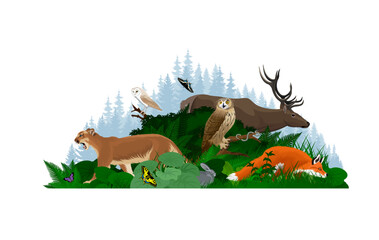 Vector woodland forest illustration with animals