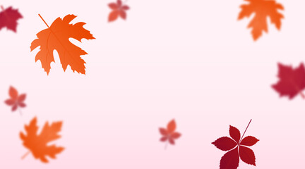 Autumn background with copy space. Vector illustration. Colorful maple leaves on pink backdrop