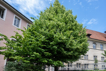Panorama of old town of city of Lausanne, Switzerland
