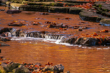 small cascade waterfall in fall foliage © Teresa