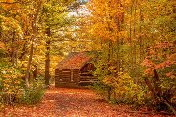Old wooden house in the forest in autumn, autumn in Canada, canadian heritage village