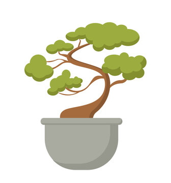 Japanese tree in pot vector concept