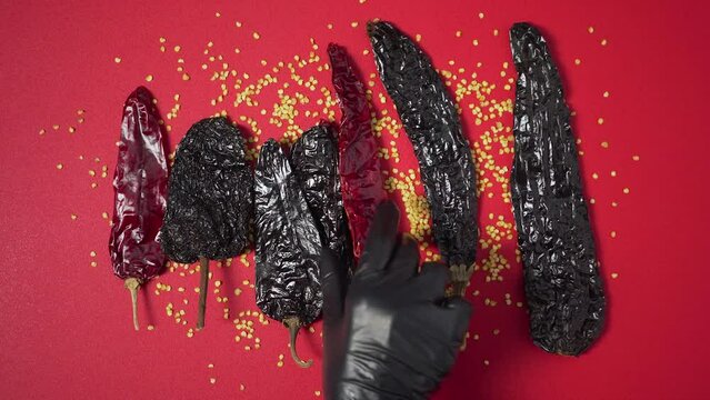 Sorting out mexican dried chili spice and seeds flat lay