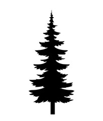 Pine tree silhouette vector concept