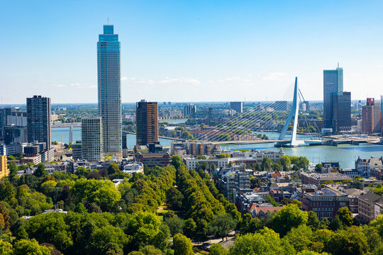 Erasmus bridge in Rotterdam harbor the Netherlands on summer day