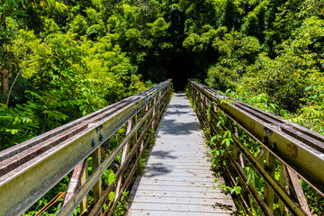 Bridge Crossing The Pipiwai Stream Leading Into  a Bamboo Forest on The Pipiwai Trail, Kipahulu District, Haleakala National Park, Maui, Hawaii, USA