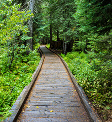 The Trillium Lake Loop Trail, Trillium Lake, Mount Hood National Forest, Oregon, USA