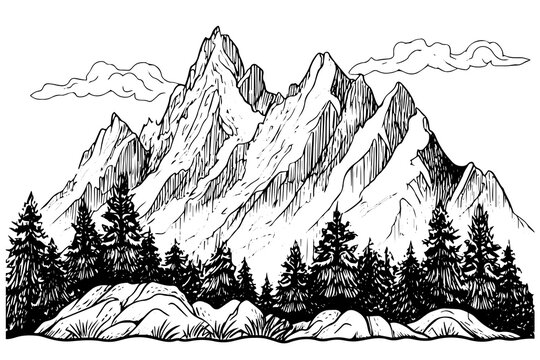 Hand drawn ink sketch of mountain with pine trees landscape. Engraved style logotype vector illustration