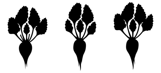 Silhouettes of sugar beets. Black and white roots isolated on white background