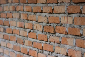 House building walls are made of red brick and cement, villagers more commonly use red brick walls.

