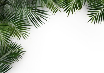 Fototapeta na wymiar Group of green leaf frame on white. Summer palm leaves on White background, AI Generative.