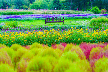滝野すずらん公園の風景
