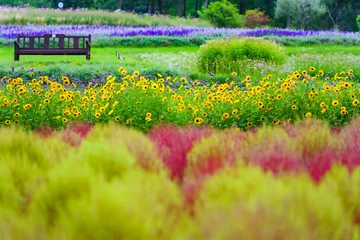 Fotobehang 滝野すずらん公園の風景 © haruharu2