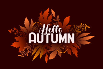 Hello autumn vector banner with colorful autumn leaves isolated on brown background. Design for card, poster, website, advertising, promotion, flyer, invitation