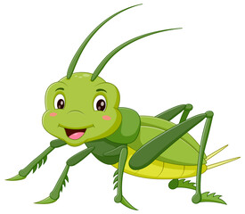 Cartoon happy grasshoper. Vector illustration